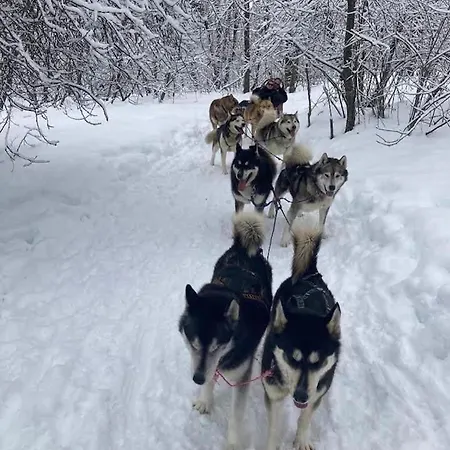 Les Sybelles Appartement La Chal